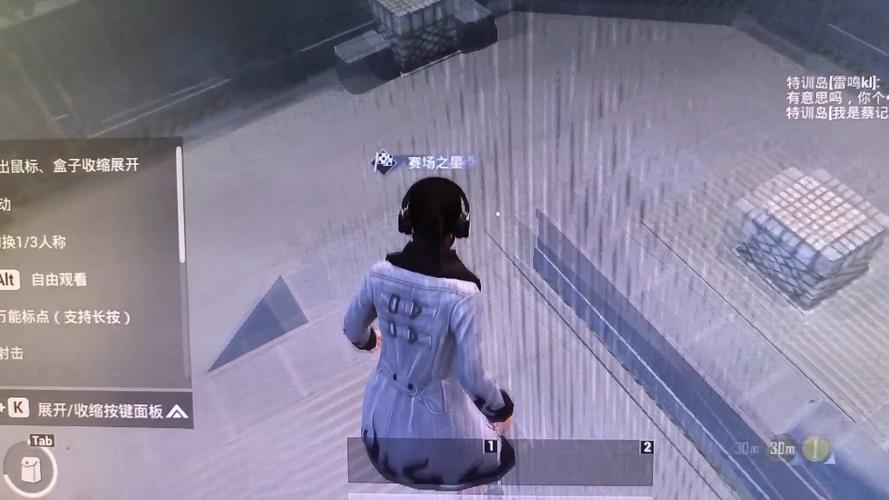 和平精英苹果st辅助（和平精英苹果ST辅助的主要功能有哪些？）